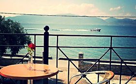 Lihas Studios